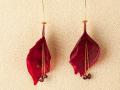 Beet with Garnet Stamen