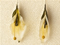 Zucchini with Gold Granulated Stamen