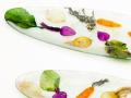 Baby Gold Beet, Carrot, Purple Radish