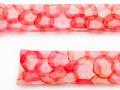 Watermelon Radish